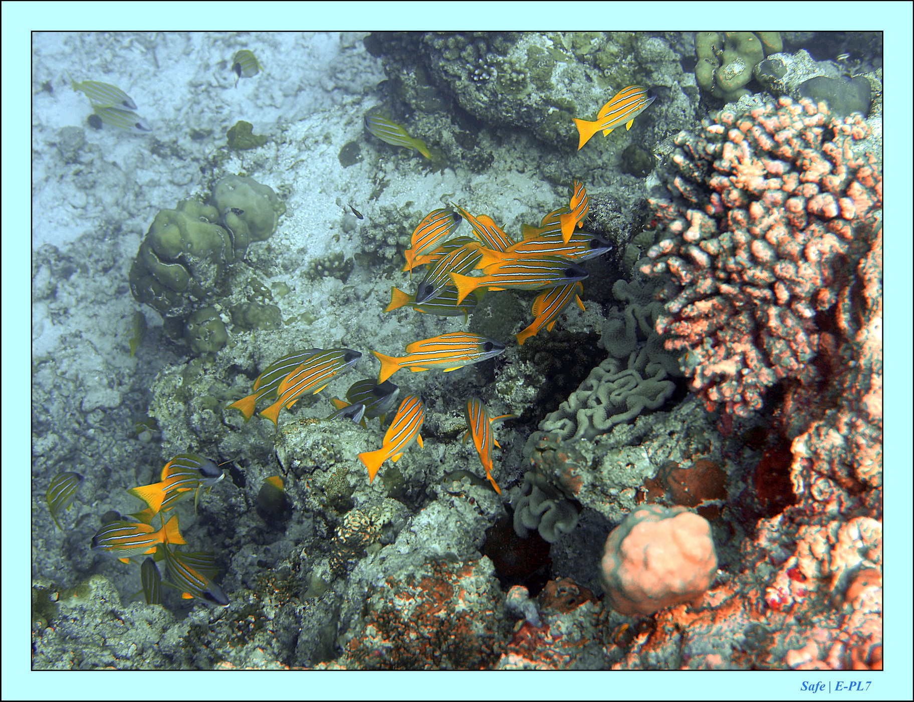 2023 - 07 - Sandies Bathala - 181